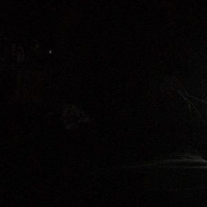 Meet your Posher, Latoya